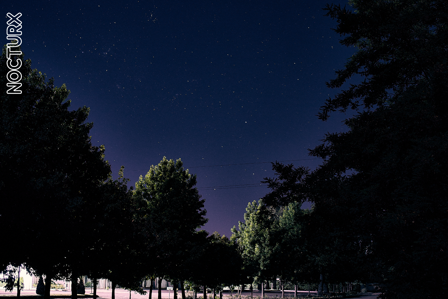 Vista nocturna, con la Cruz del Sur al centro
