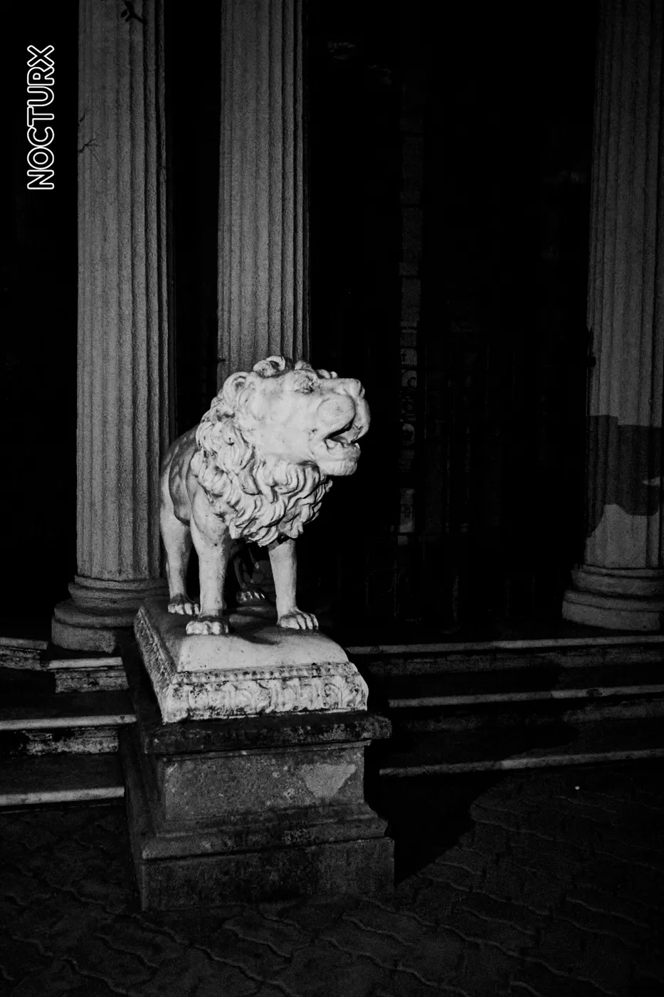 Una Noche en el Cementerio